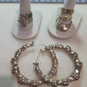 Elegant Gold Hoop Earrings